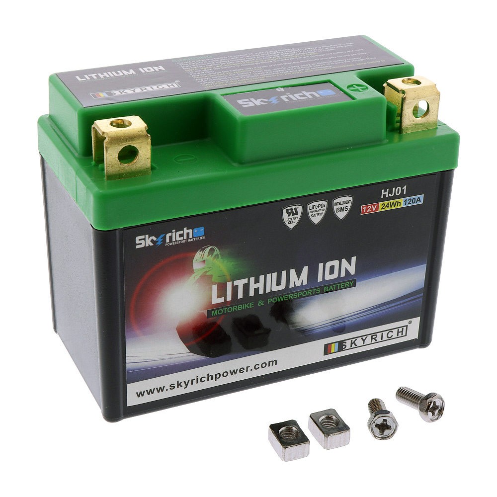 Chargeur de batterie intelligent Lithium Ion Skyrich